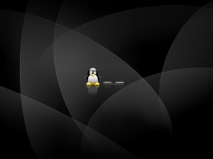 Linux 1600-824211